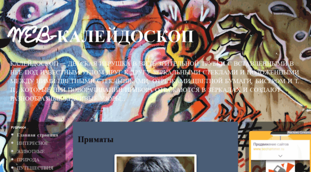 veb-kalejdoskop.blogspot.ru