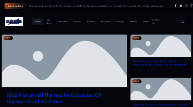 vectorbetsgalaxy.com