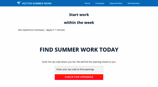 vectorsummerwork.com