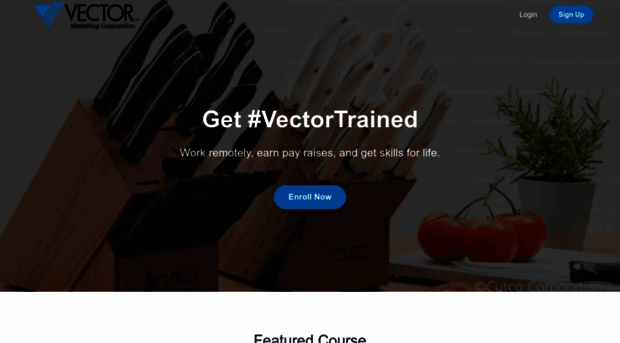 vectorvirtual.com