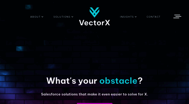 vectorx.com