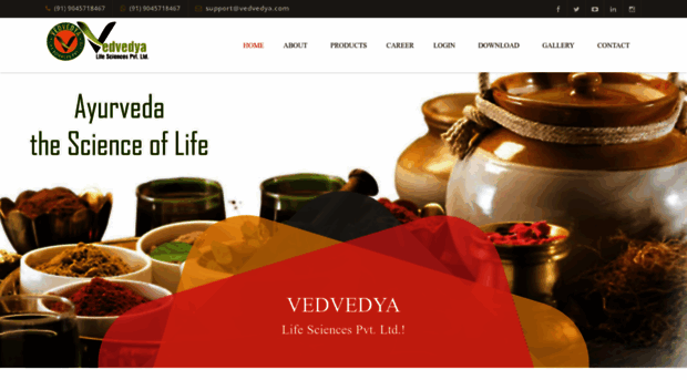 vedvedya.com