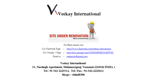 veekayinternational.com