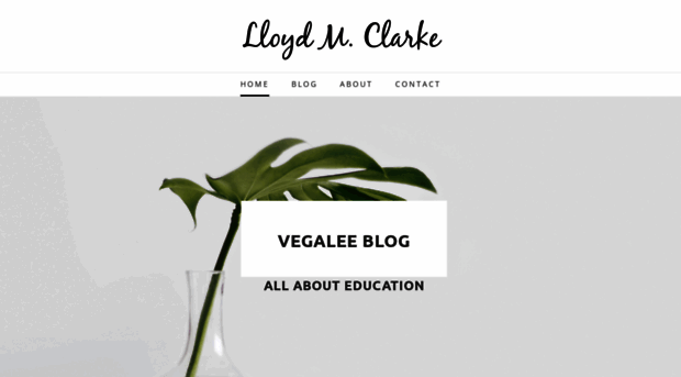 vegalee.weebly.com