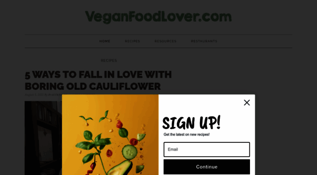 veganfoodlover.com