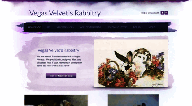 vegasvelvetsrabbitry.weebly.com