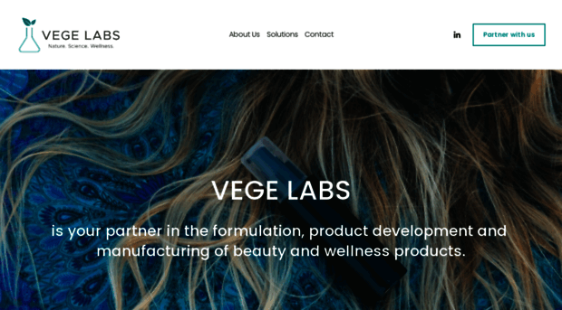 vegelabs.com