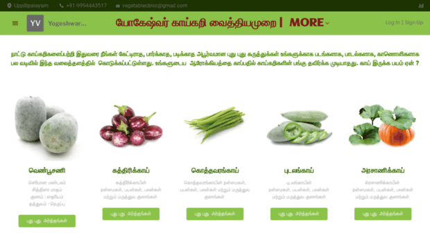 vegetableclinic.com