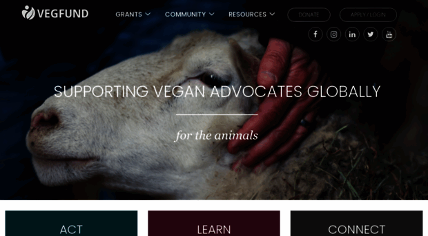 vegfund.org