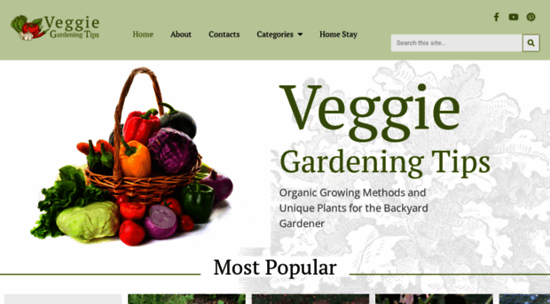veggiegardeningtips.com