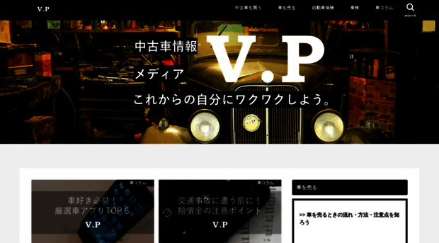 vehicleperson.xyz