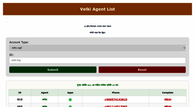 velkiiagentslist.com