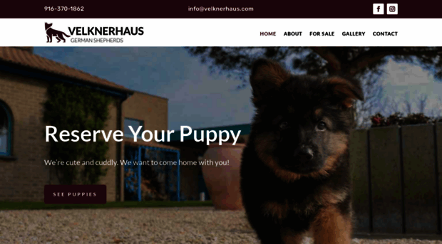 velknerhaus.com