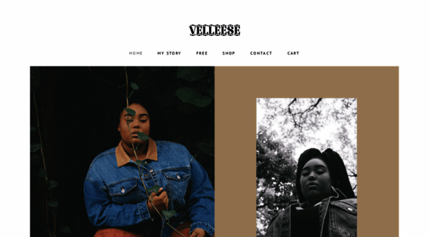 velleese.com