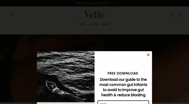 vellewellness.com