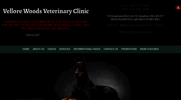 vellorewoodsvetclinic.com