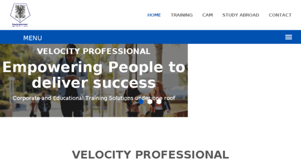 velocityprofessional.com