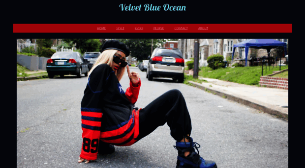 velvetblueocean.com