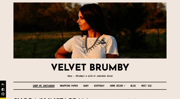 velvetbrumby.com