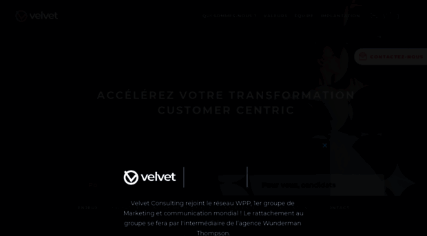 velvetconsulting.com