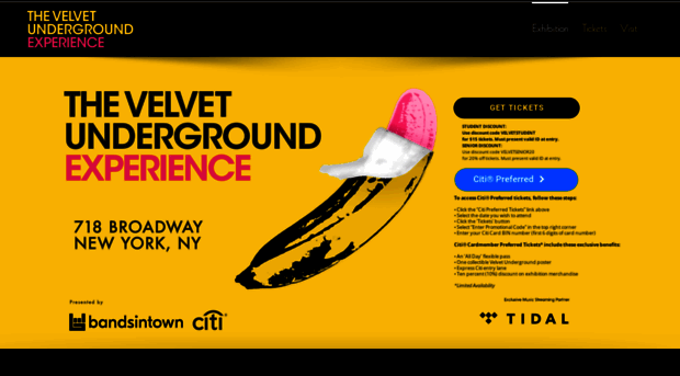 velvetunderground-experience.com