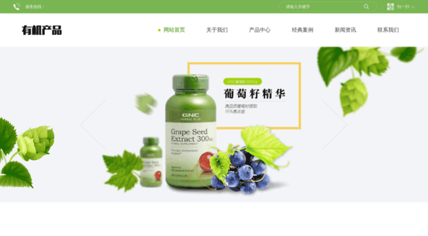 vemega.com.cn