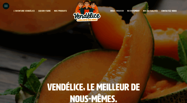 vendelice.fr