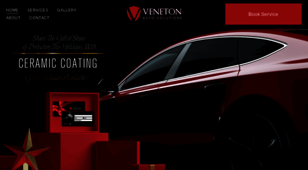 venetonauto.com