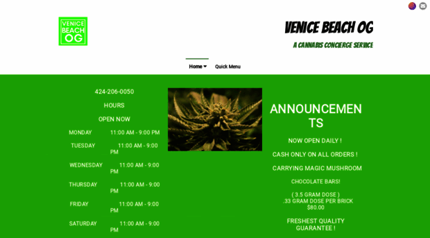 venicebeachog.com