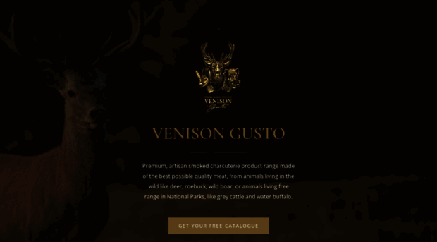 venisongusto.com