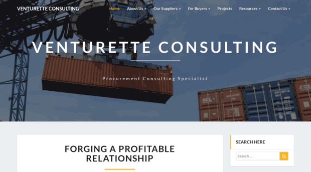 venturetteconsulting.com