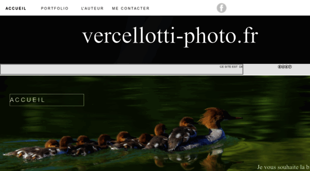 vercellotti-photo.fr