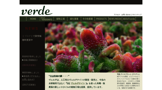 verde-jp.com