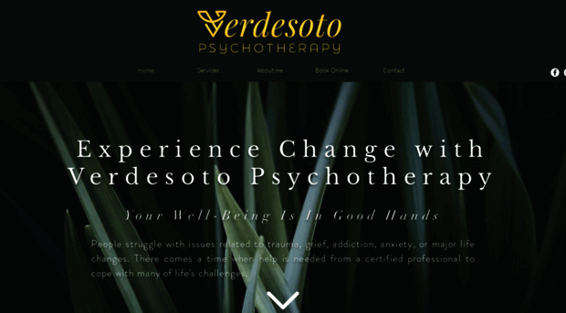 verdepsychotherapy.com