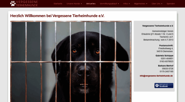 vergessene-tierheimhunde.de