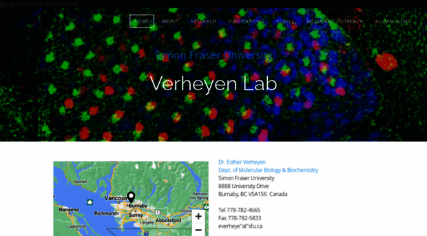 verheyenlab.weebly.com
