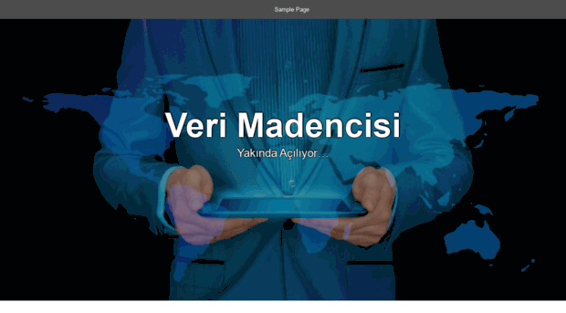 verimadencisi.com