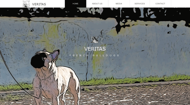 veritasdog.com