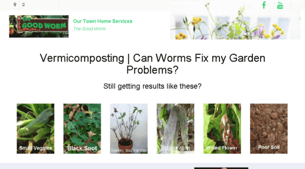 vermicomposting.ourtownhomeservices.com