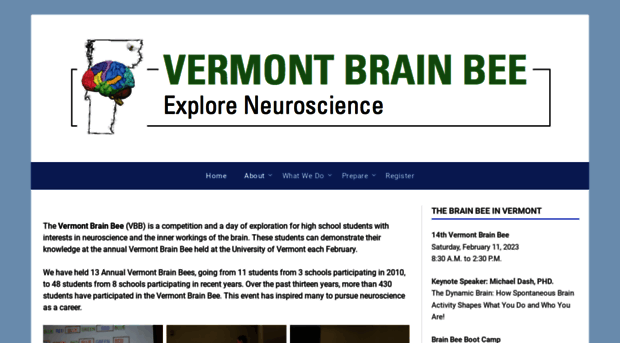 vermontbrainbee.com