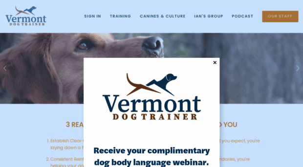 vermontdogtrainer.com