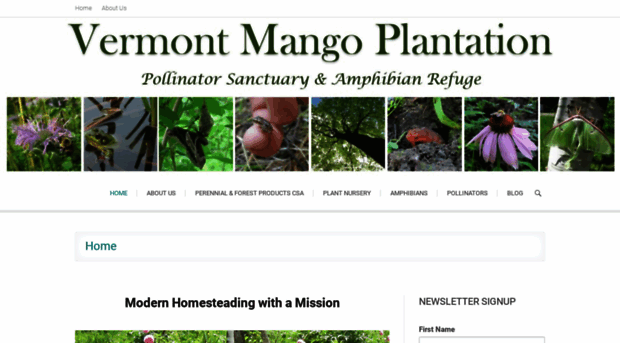 vermontmangoplantation.com