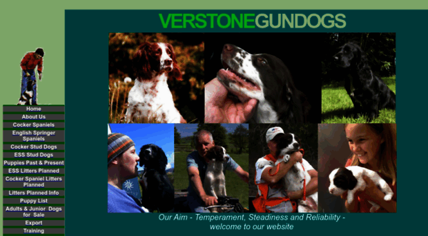 verstone-gundogs.co.uk