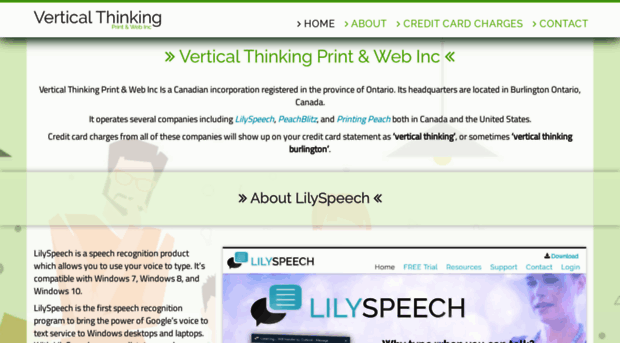 verticalthinkinginc.com