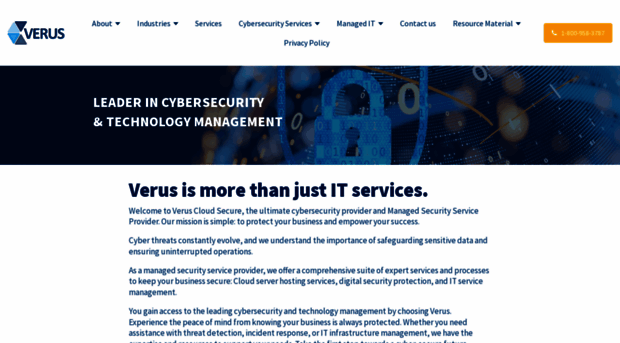 verusgroupllc.com