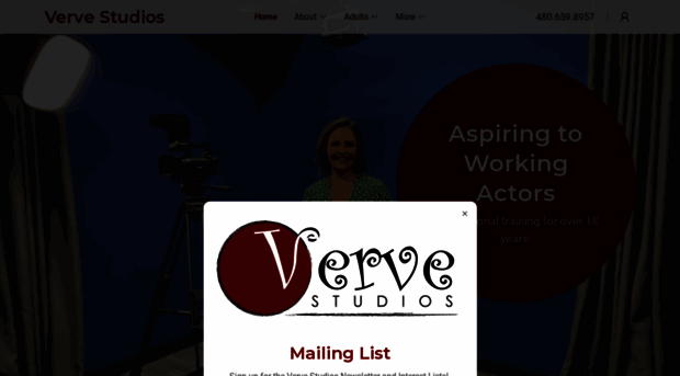 vervestudio.net