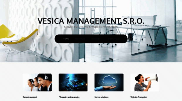 vesica-management.com