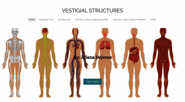 vestigialstructures.weebly.com