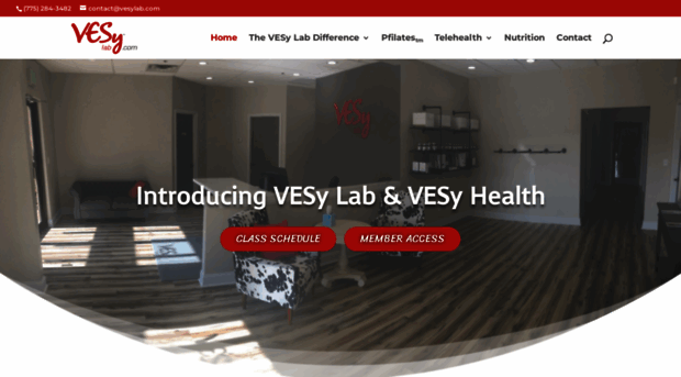 vesyhealth.com