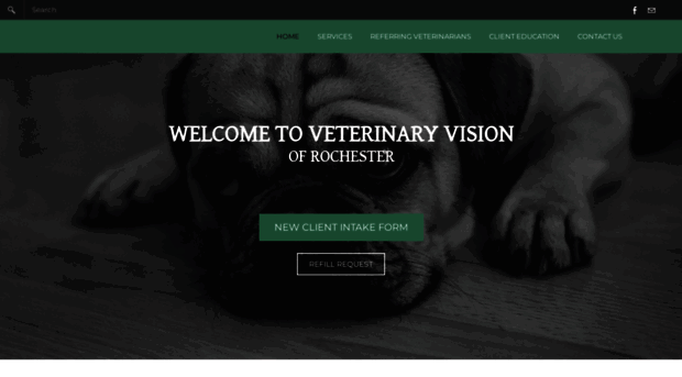 vet-vision.com